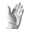 Gant Pro’glove